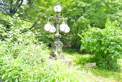 DSC_3341 (Large).JPG